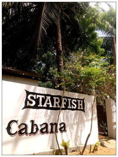 Starfish Cabbana