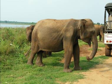Hotel Le Green Udawalawe