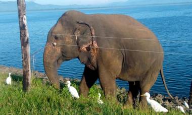 Summerland Residence