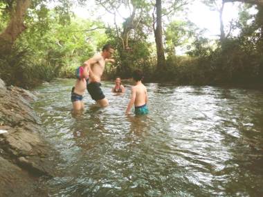 Nature lovers safari resort