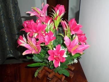 Golden Pearl Safari Villa