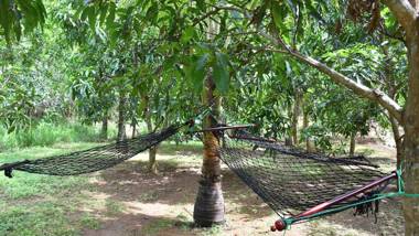 River Glamping by Gaga bees