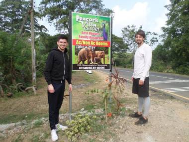 Peacock Villa Resort