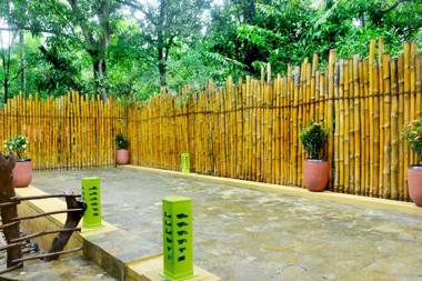 The Elephant Next-Door