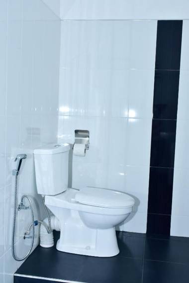 Baby Elephant Green House