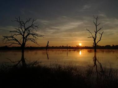 Induwara Safari Resort