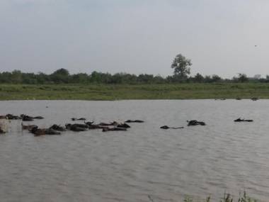 Yonan River Face Safari Resort