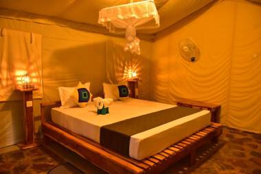 Jungle View River Camping