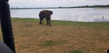 Elephant Paradise Safari Bungalow