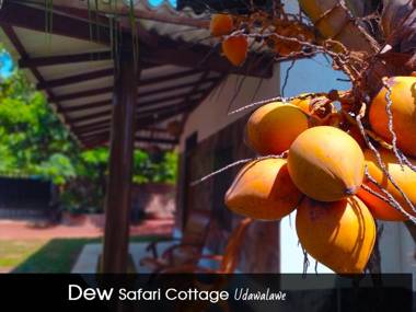 Dew Safari Cottage