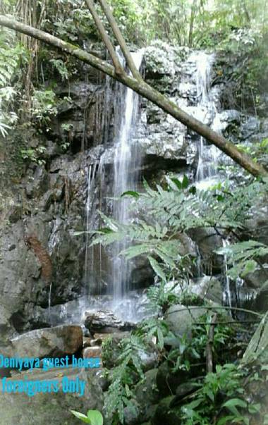 Deniyaya Guest House