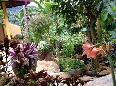 Natural Mystic Sanctuary