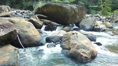 Sinharaja Hostel 114