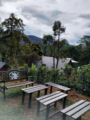 The Rainforest Village