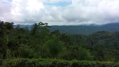 Southern Heritage Holiday Resort