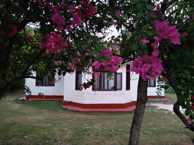 Colonial Surfing Villa Hostel & Home Stay