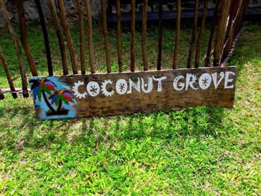 Coconut Grove - Midigama