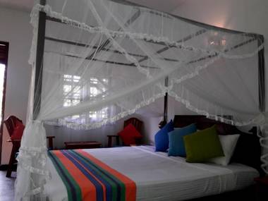 Coconut Grove - Midigama