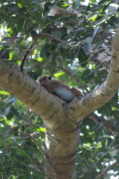 Talalla Bay Beach House