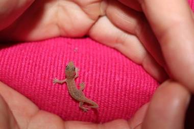 Talalla Bay Beach House