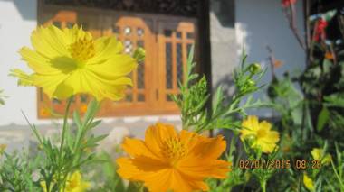 THOMASHA HOLIDAY INN