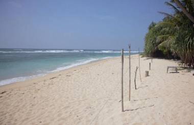 Blue Corals Beach Bungalow
