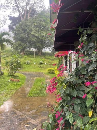 Kaaya Mountain Range - Knuckles