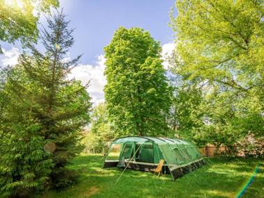 Downtown Forest Hostel & Camping