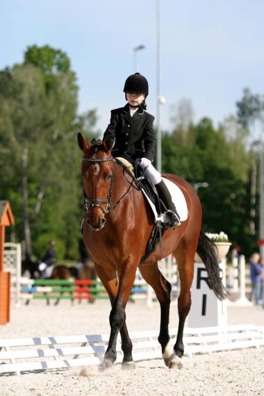 Harmony Park Hotel & SPA