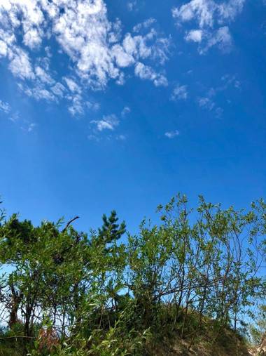 Vilatekila-Lili Apartments