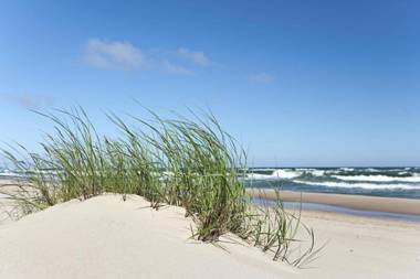 Palangos Svečių Namai