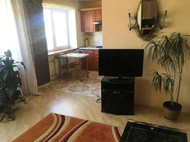 NeriesApartment No.1 Holidays By J. Basanaviciaus