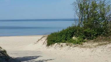 Frėjos apartamentai - Centras