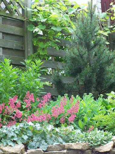 Fortūna Guest House