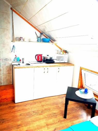 Meridian studio with Sauna