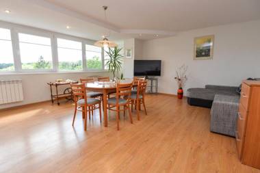 Druskininkai Apartment