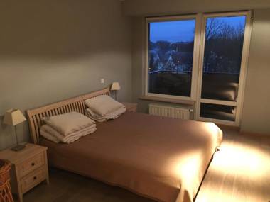 Central Druskininkai Apartment