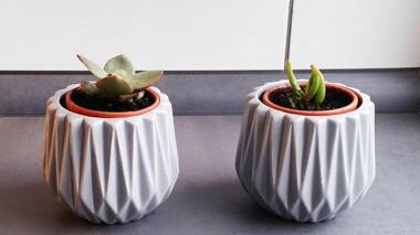 Nijole ir Algimantas