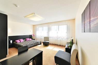 Hotel Vantis Riverside view FREE parking