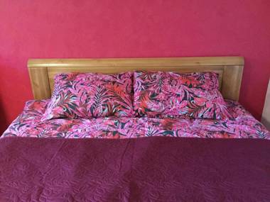 Cat Garden Domina Apartments Riga