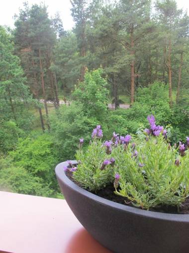 Liepaja Pine Apartment