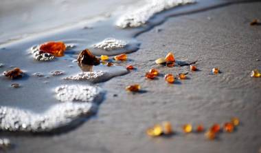 Seaside Park Apartment