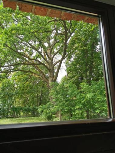 Kārklu Muiža with Free parking