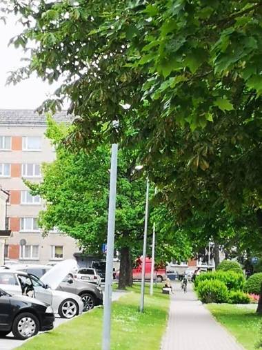 DvīņuMājas Vintage B&B