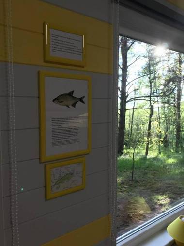 Kempings Ezerpriedes