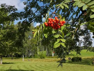 Atpūtas vieta Upes Sausītes