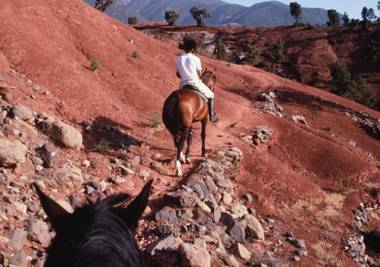 Domaine de la Roseraie Resort & Spa