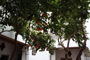 Riad Les Orangers D'alilia