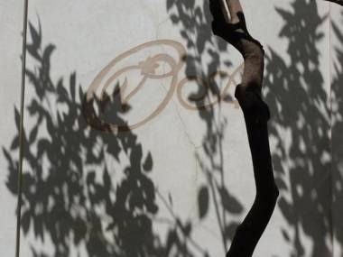 Riad Les Orangers D'alilia