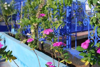 Riad Zinoun & Spa 9 Rooms